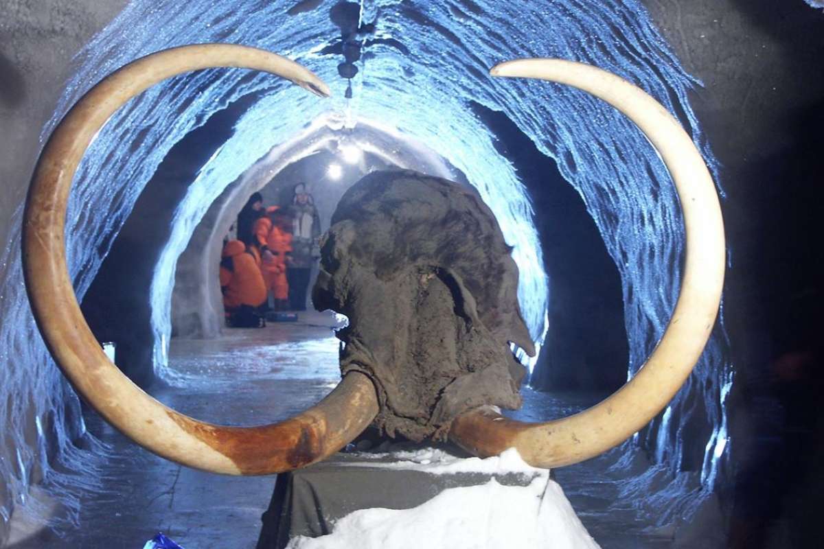 Поиском бивней мамонта в Якутии займется искусственный интеллект