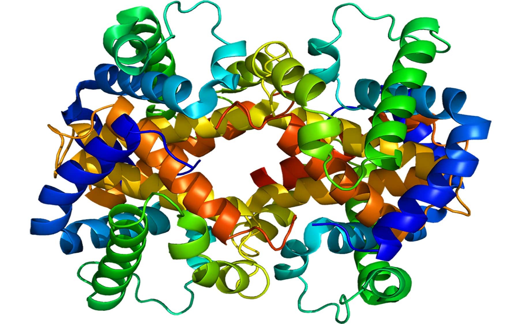 Белки образующиеся соединения. Белок молекула. Молекула протеина. Белковая молекула. Модель молекулы белка.