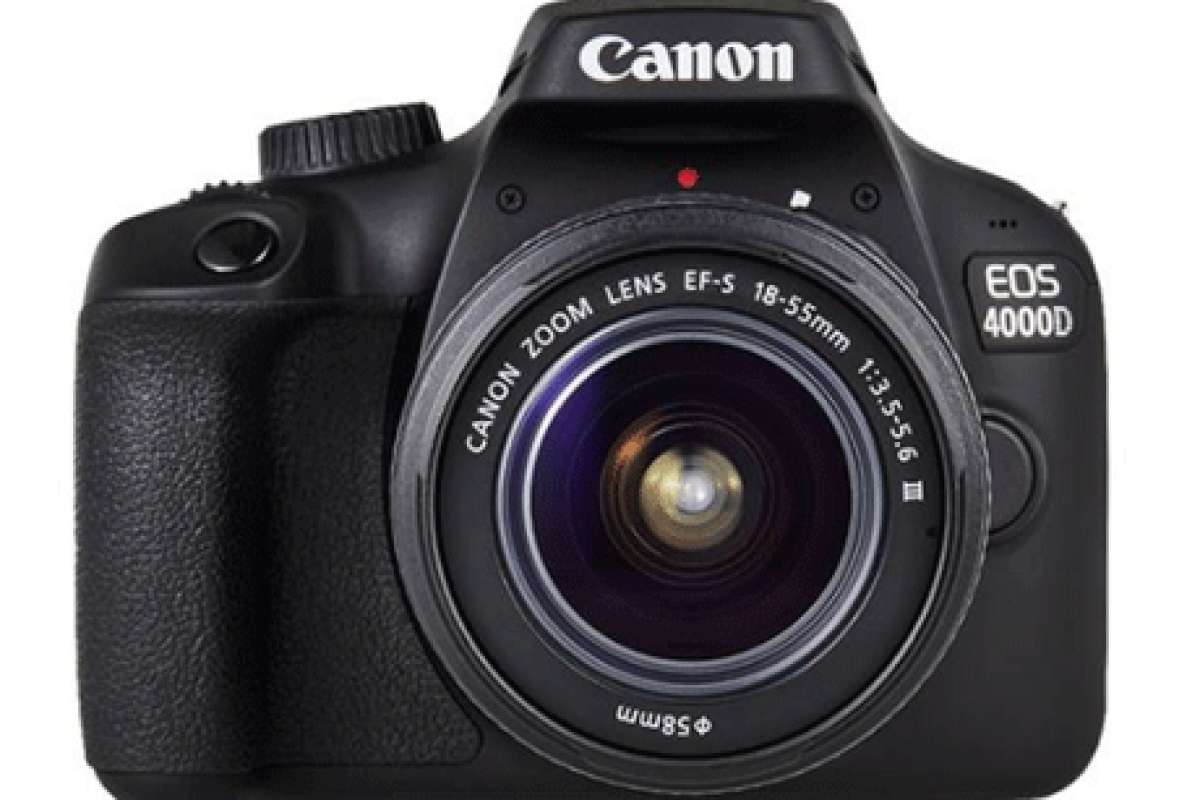 Canon EOS 4000D, понятная камера для особенных снимков