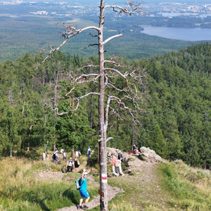 06