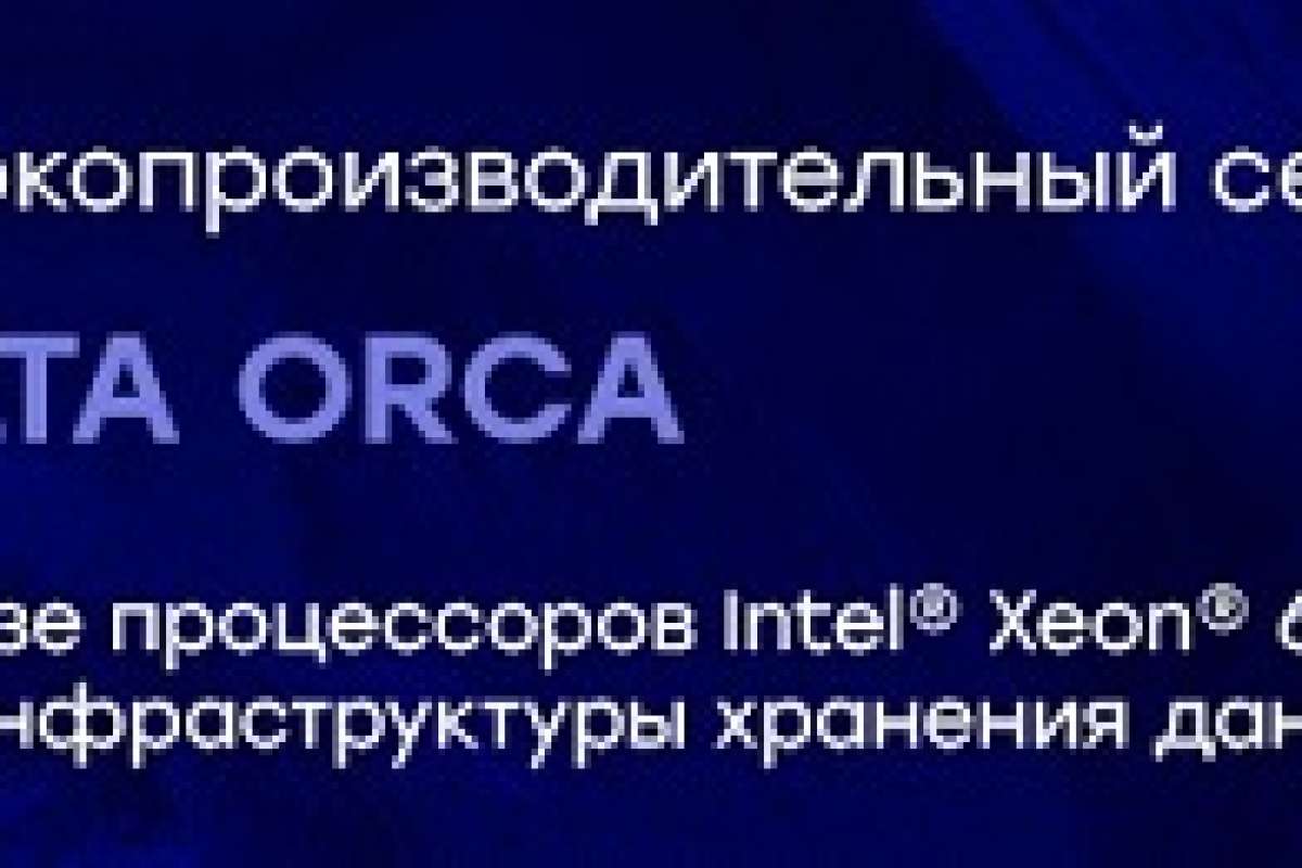 Реестровый специализированный сервер хранения данных Delta Orca
