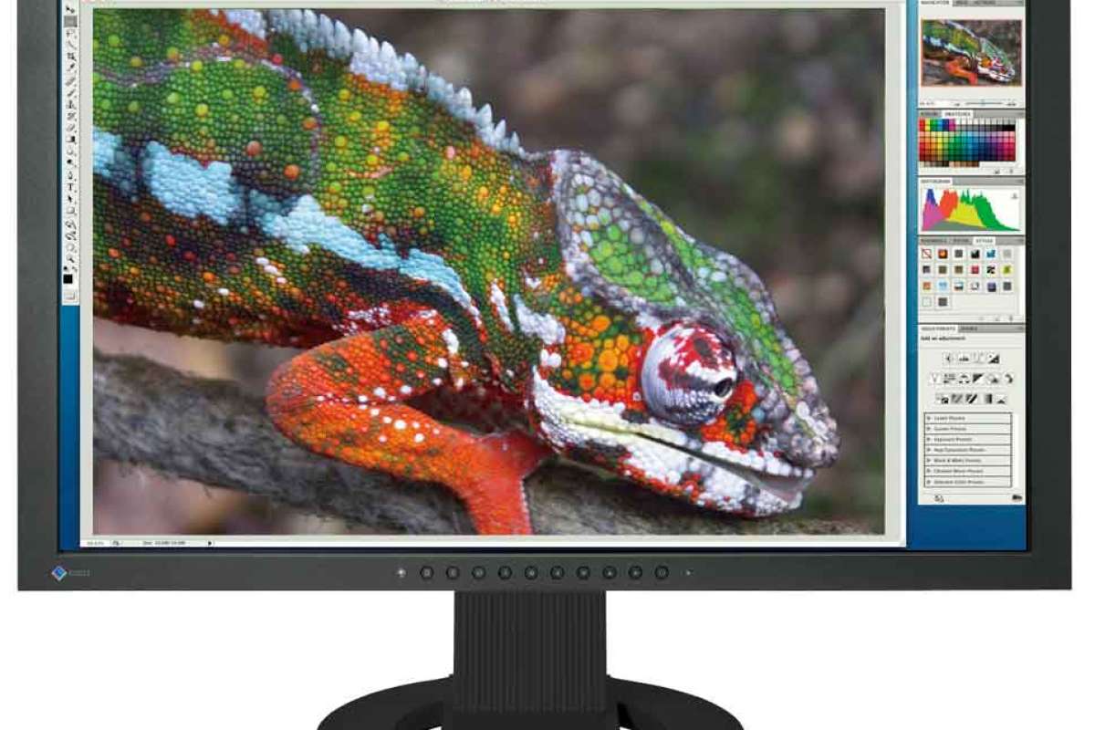 Распродажа мониторов EIZO CG241