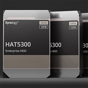 Synology HAT5300:     NAS