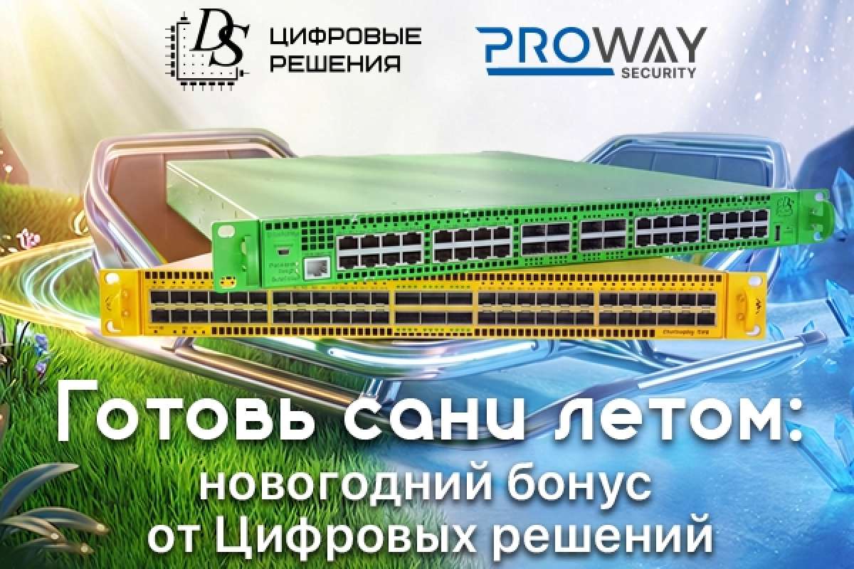 «Готовь сани летом: новогодний бонус от «Цифровых решений»