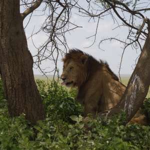10 дней по Африке: дилерская поездка для партнеров ВТТ