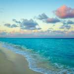 Ежегодная дилерская конференция дистрибьюторской компании Staten